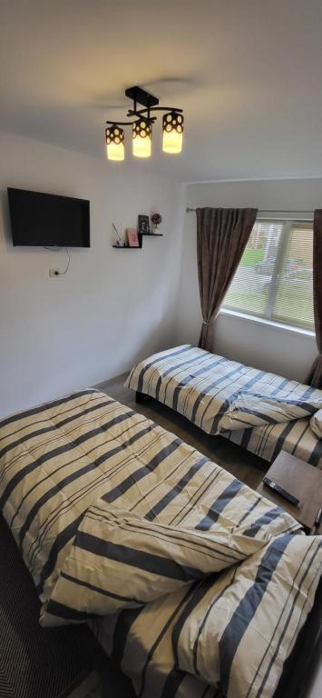 Avdk Apartament Sînpetru 外观 照片