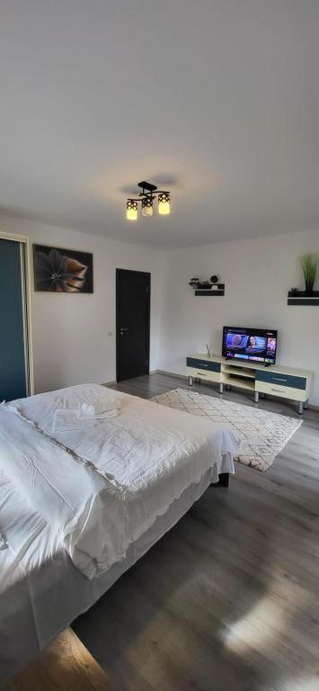 Avdk Apartament Sînpetru 外观 照片